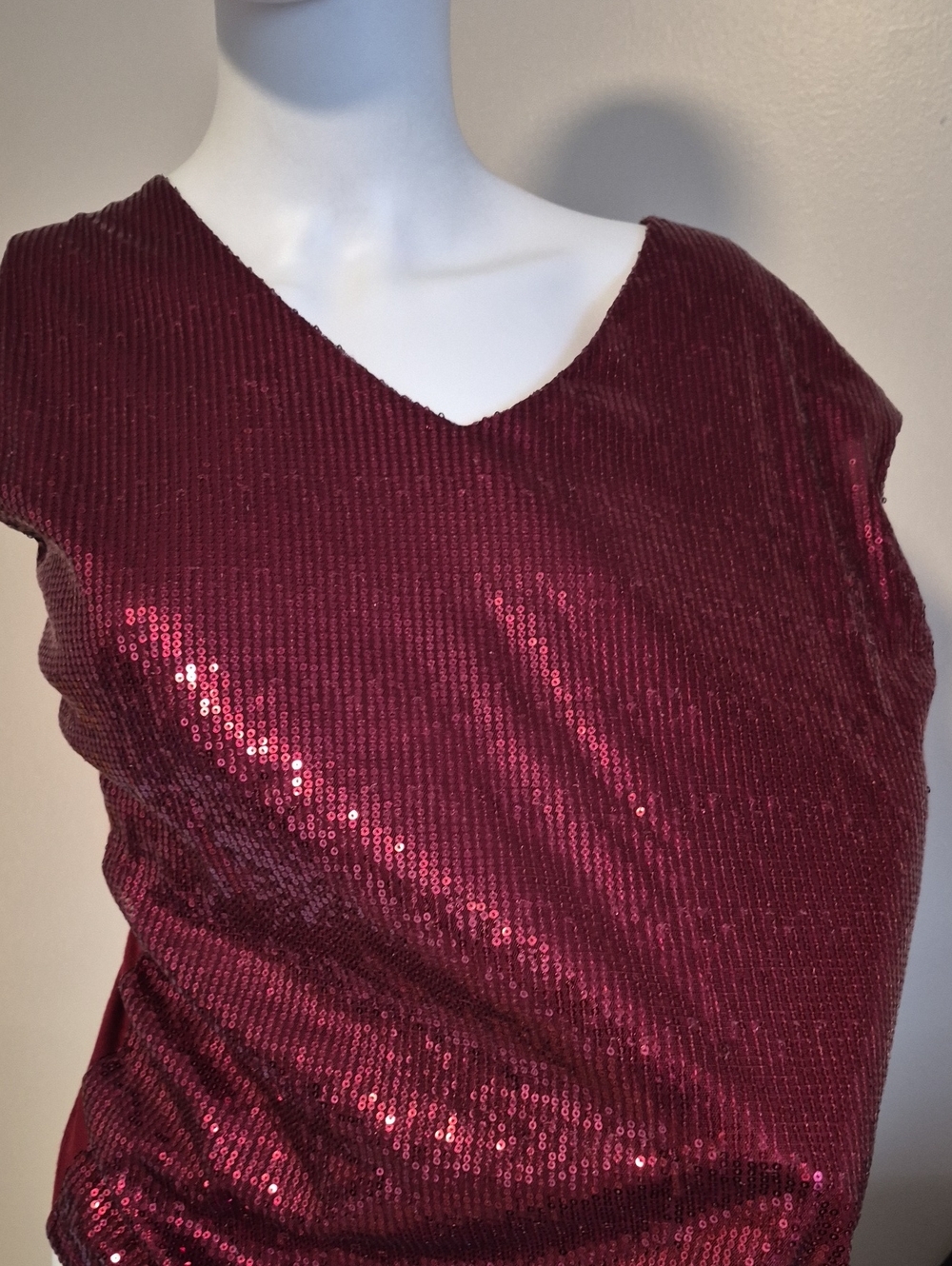 The Limited Wine Sequin V-Neck Tunic